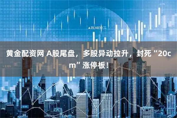 黄金配资网 A股尾盘，多股异动拉升，封死“20cm”涨停板！